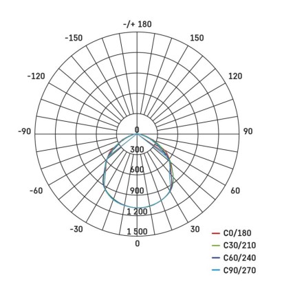 2699814.JPG