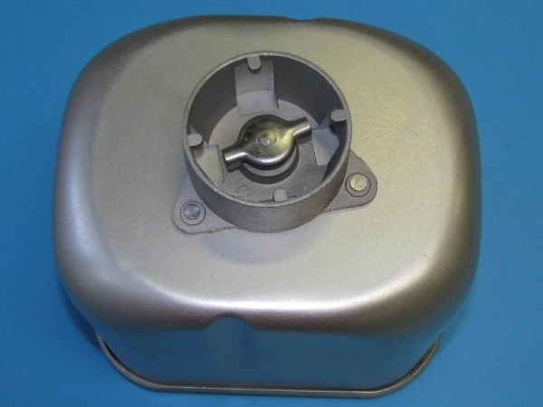 3117502.jpg