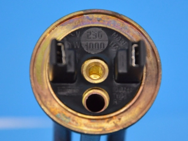 5173321.jpg