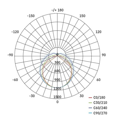 2881015.JPG