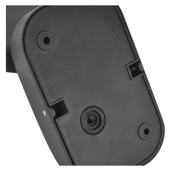 2919431.JPG