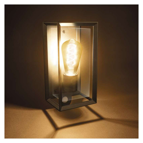 2968321.JPG