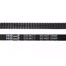 MS-0698375.jpg