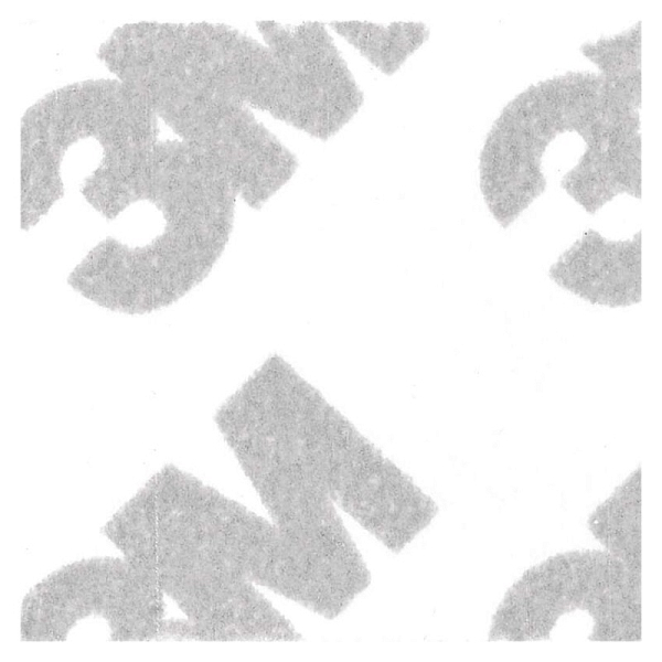 3332912.JPG