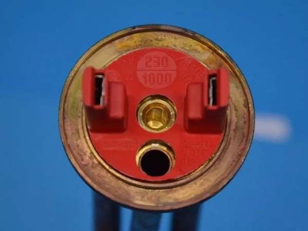 5173331.jpg