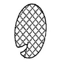 6936_9910.jpg