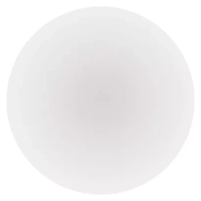 2382643.JPG