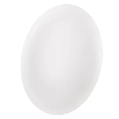 2382648.JPG