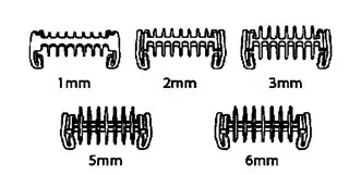 8153_11474.jpg
