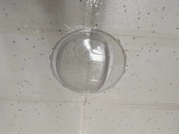Plexisklo sušičky Beko 2980490100