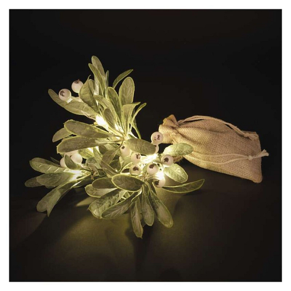 EMOS LED dekorace – větvička jmelí, 2x AA, teplá bílá, časovač