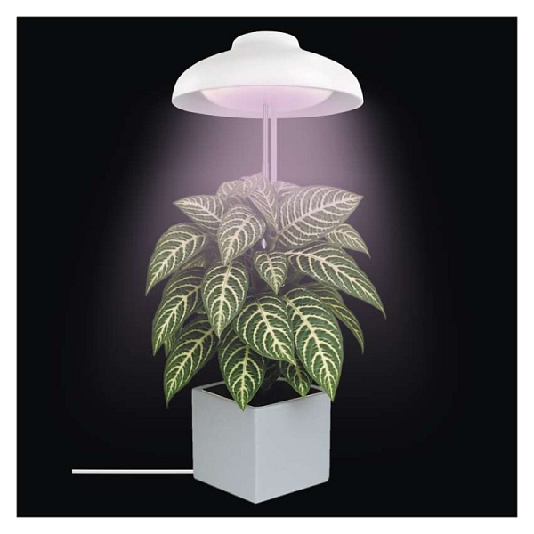 EMOS LED GROW pěstební lampa 5 W, časovač, bílá