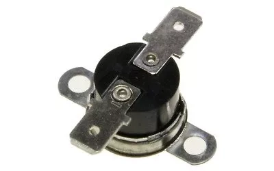 Termostat 165°C 480120101913